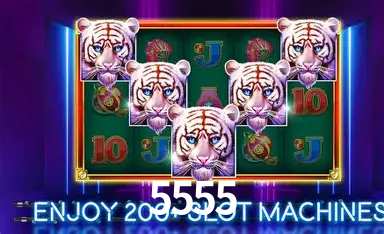 Desvendando o Mundo dos Jogos Virtuais na 5555